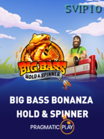 Big Bass   Hold And Spinner game cover
